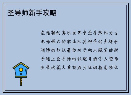 圣导师新手攻略